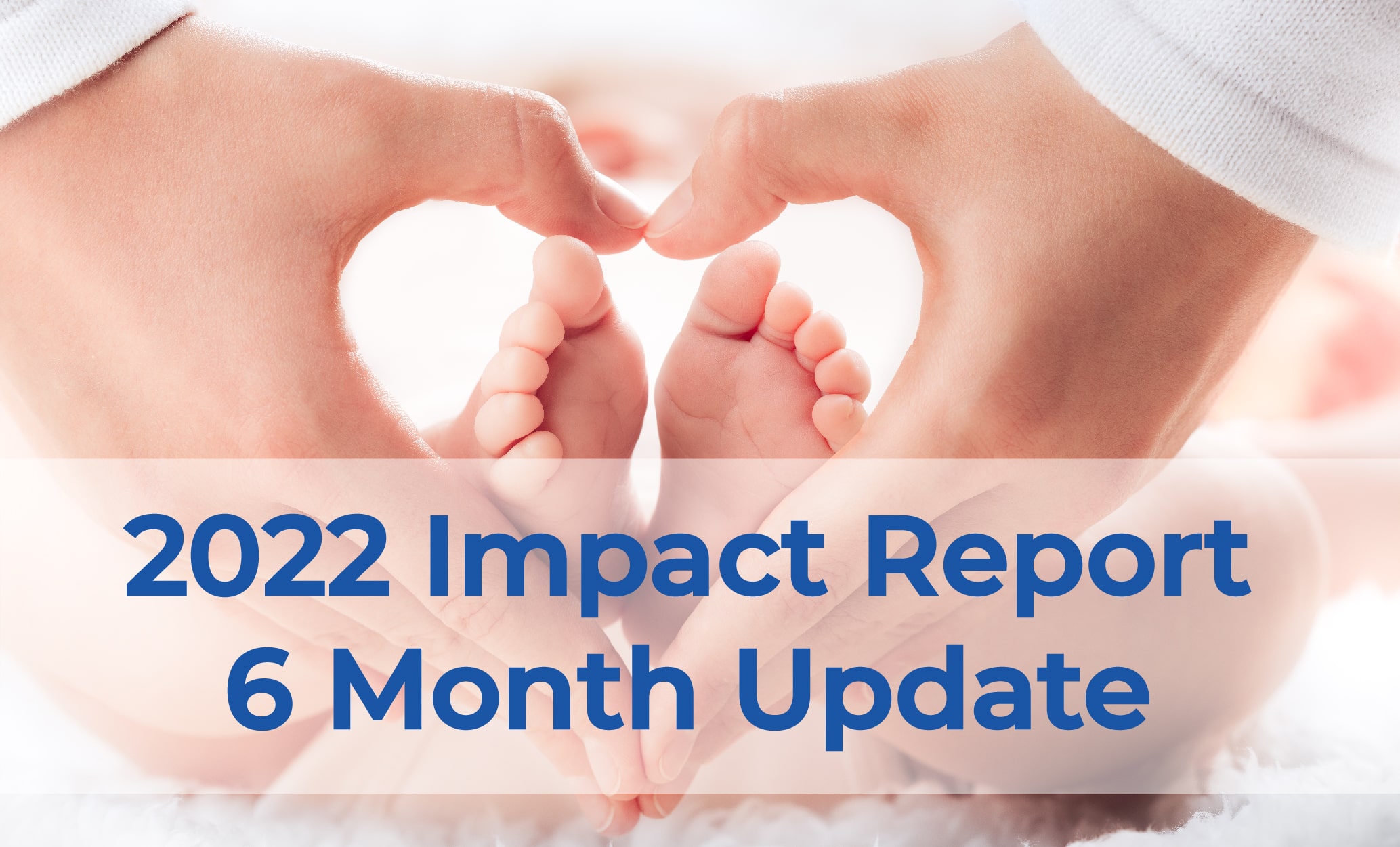 2022 Impact Report 6 Month Update